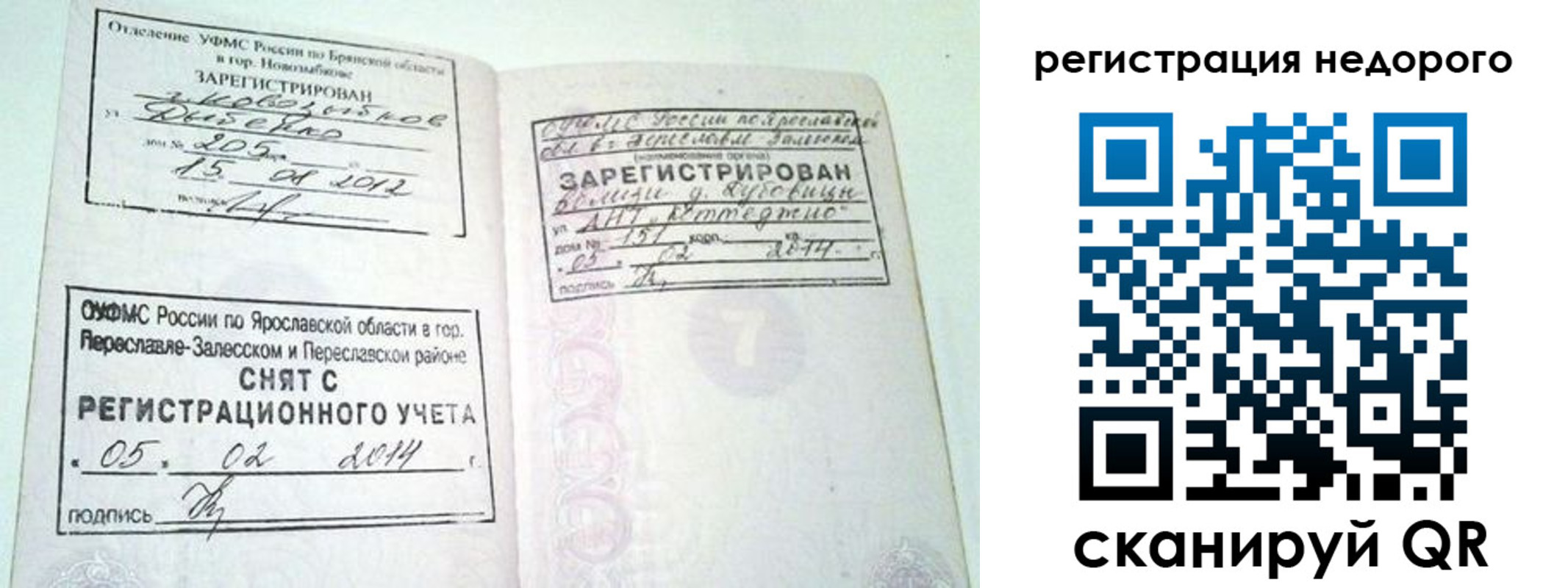 прописка поиск в Петропавловске-Камчатском
